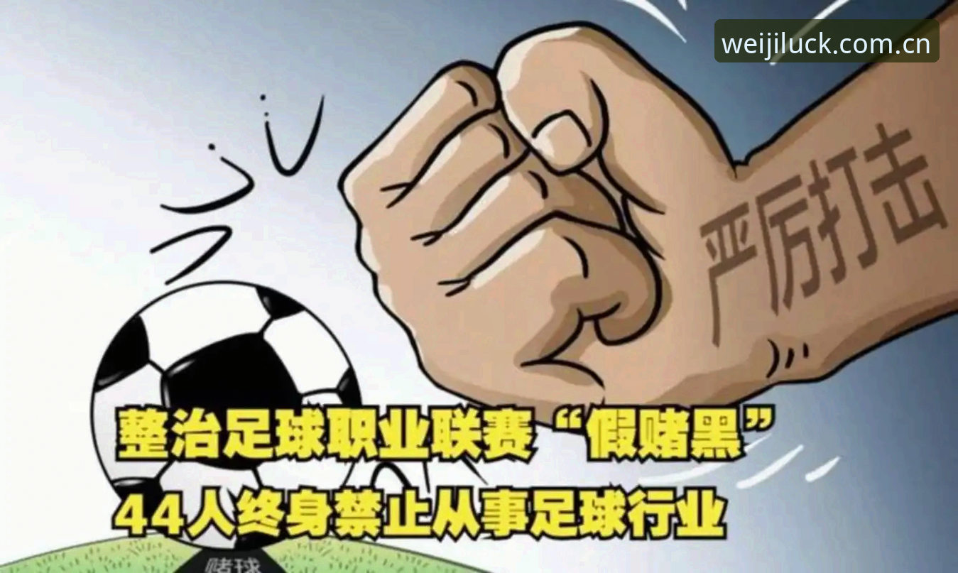 维基体育官网入口 中国足协第三批禁足名单最新进展:17人终身禁赛,48人受罚,足球腐败整治再升级